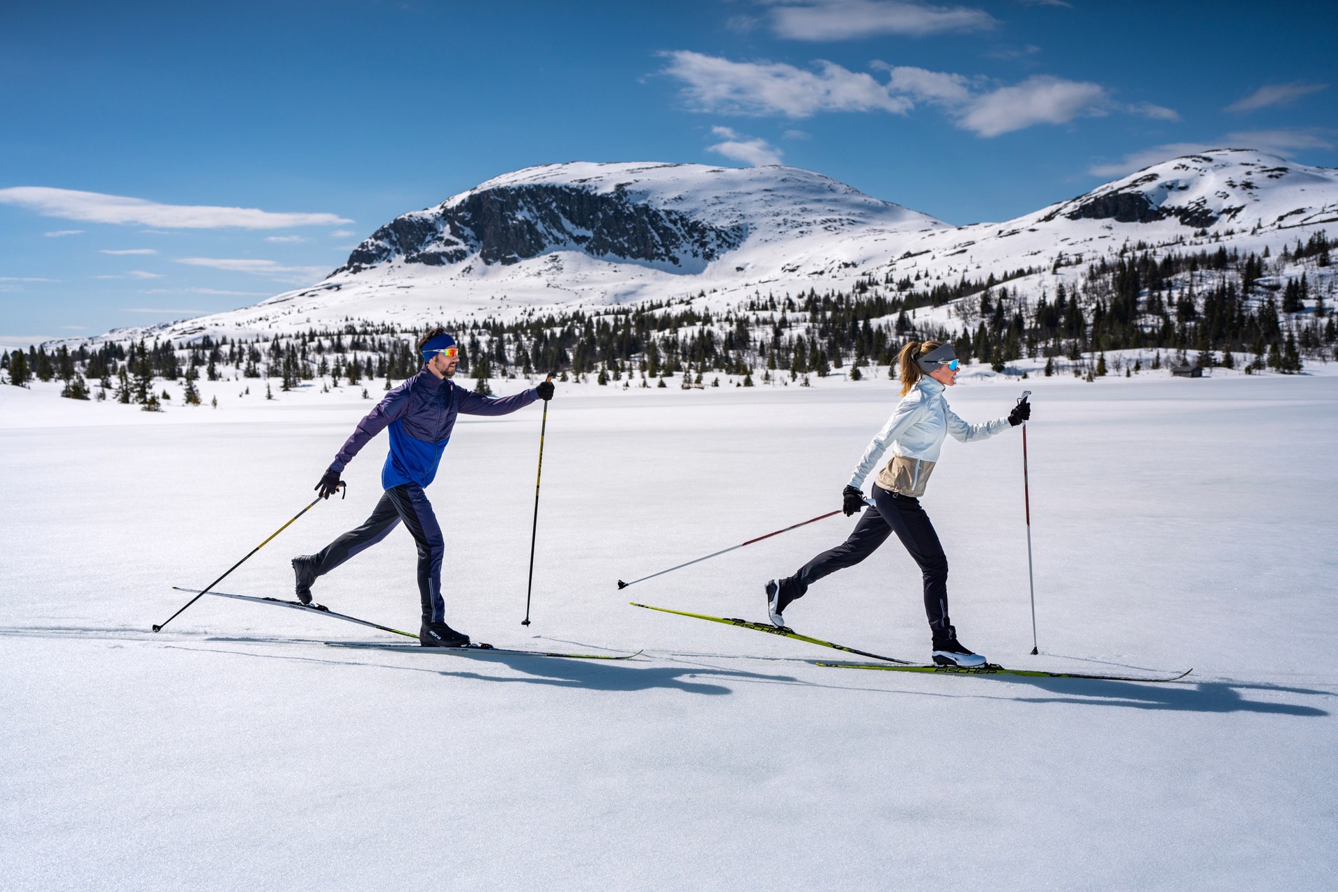 Decathlon Ski Shop -Decathlon Ski Shop crosscountry